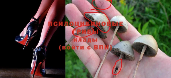 дживик Кодинск