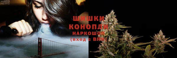 МДПВ Козельск