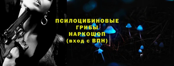 МДПВ Козельск