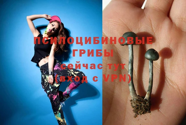 дживик Кодинск