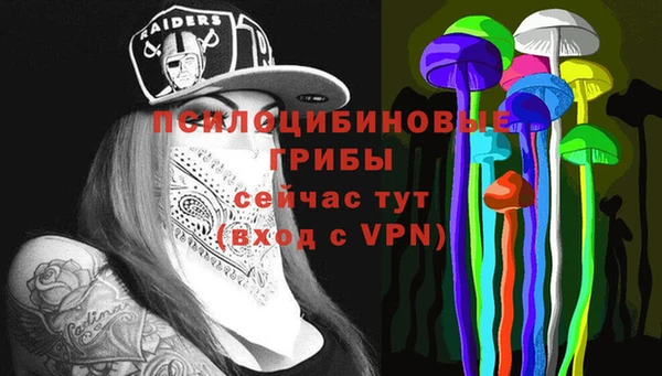 дживик Кодинск