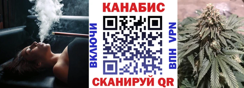 Купить где  Вятские Поляны  Конопля сатива 